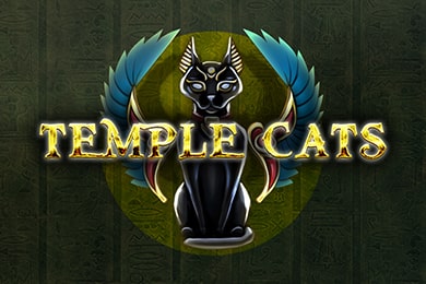 Templecats автомат Бетраен Казино